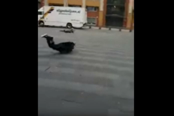 «Τους πήρε και τους σήκωσε»: Ισχυρός άνεμος «εκτοξεύει» πεζούς στην Ολλανδία (βίντεο)